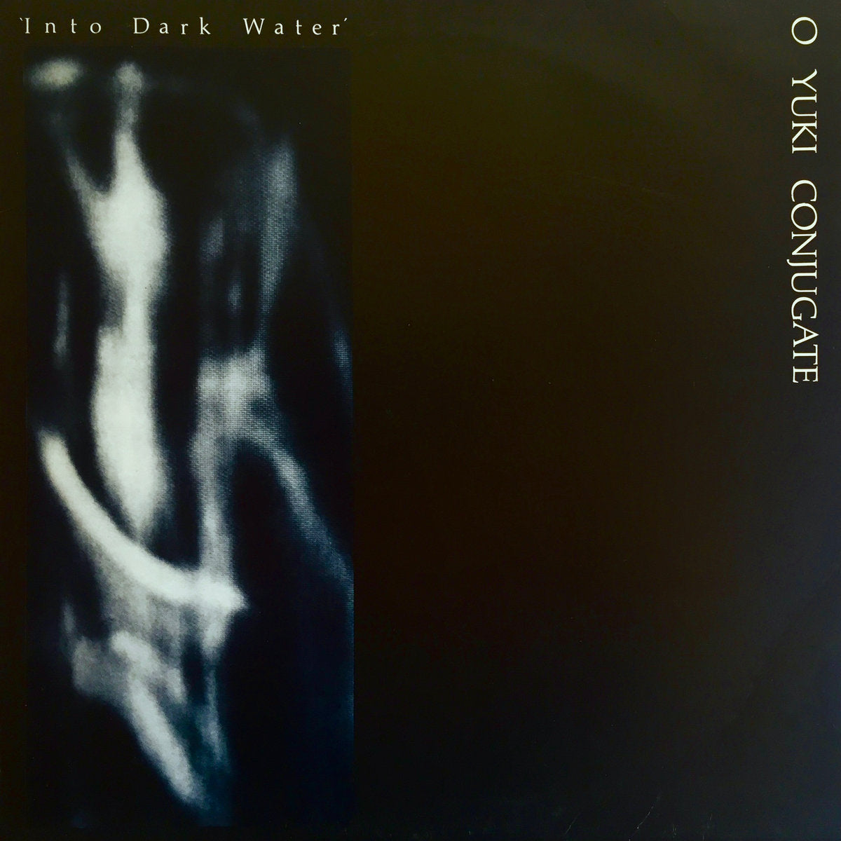 O Yuki Conjugate - Into Dark Water