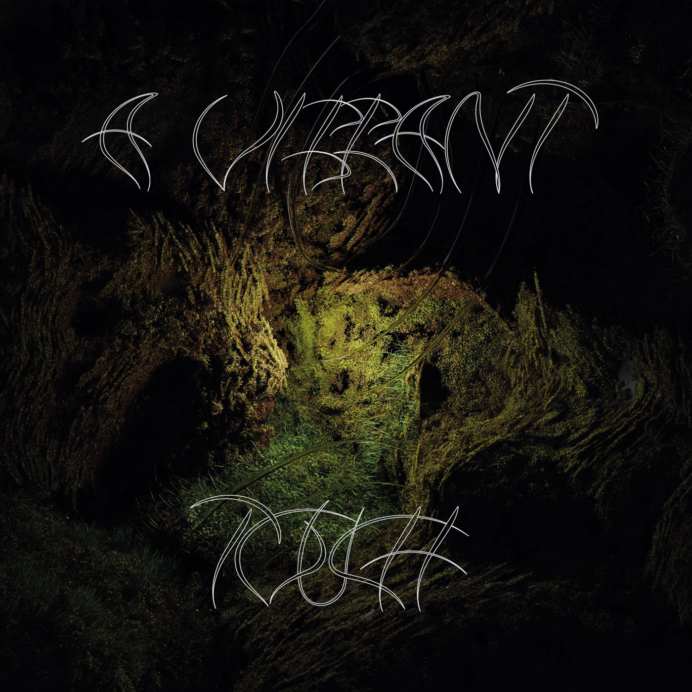 Aleksandra Słyż - A Vibrant Touch