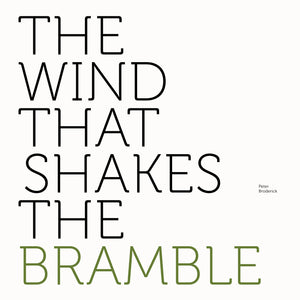 Peter Broderick - The Wind That Shakes The Bramble
