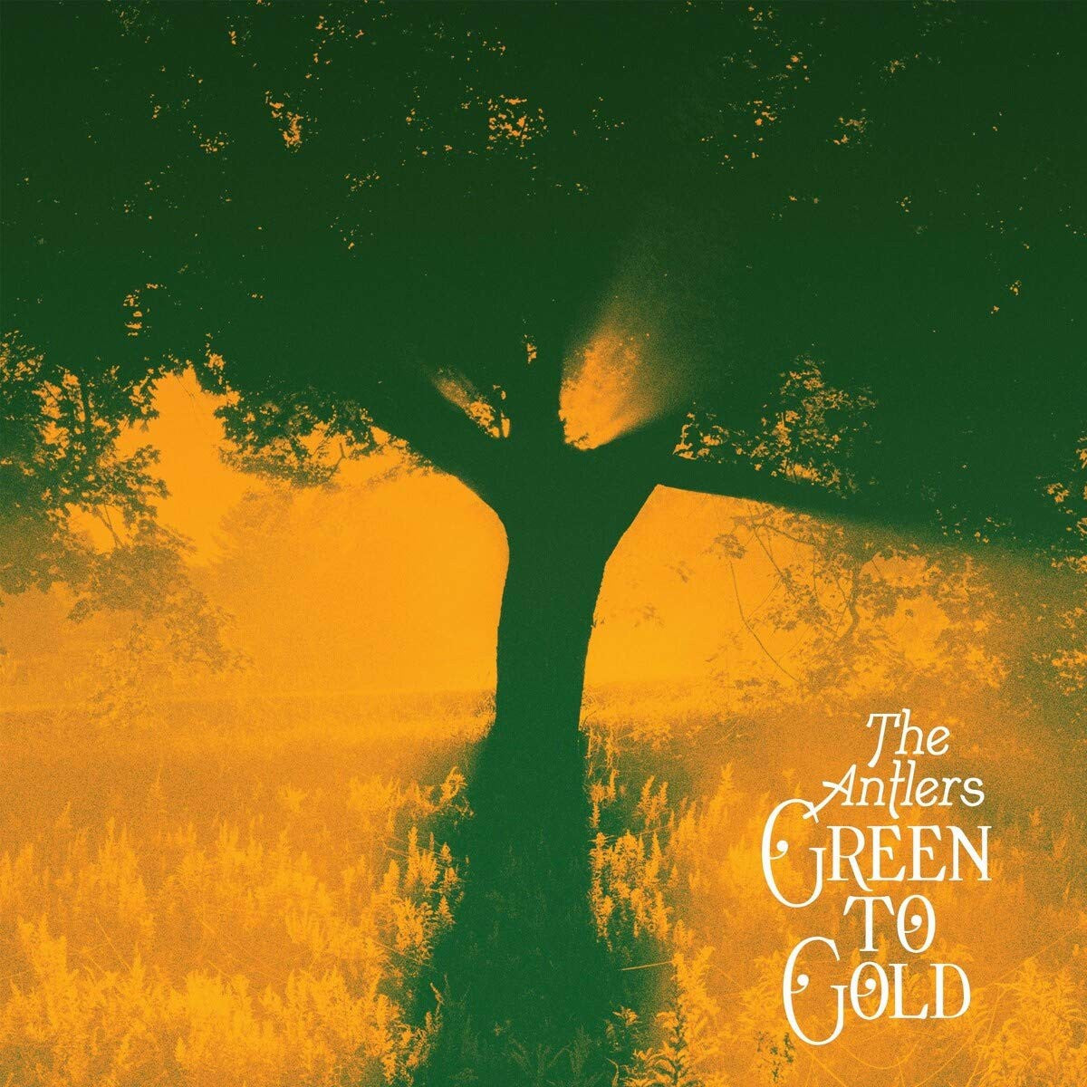 The Antlers - Green To Gold (Gold Vinyl)